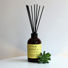 Artisan Reed Diffuser | CITRUS BURST | Amber Brights | Room Fragrance